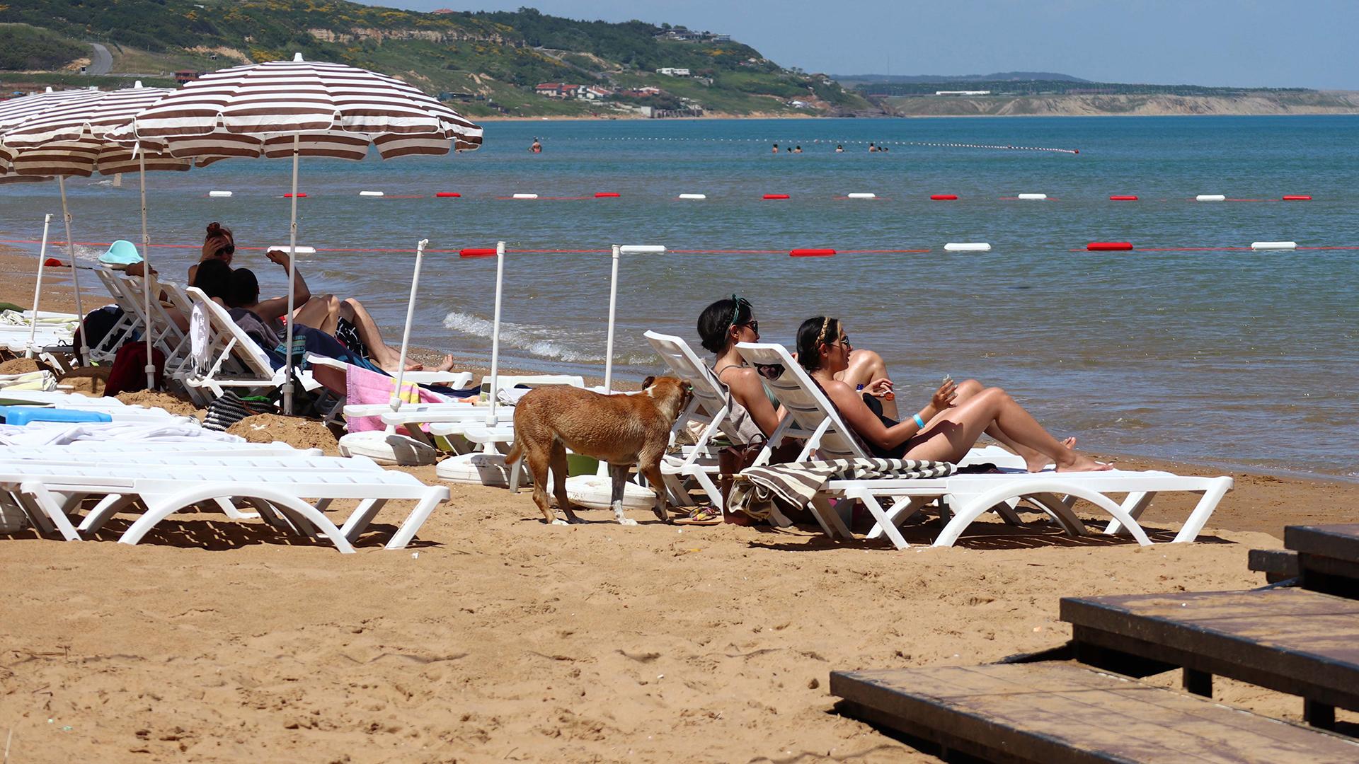 Опасно ли ехать в турцию сейчас. Туристы на пляже в Турции. Россияне на курорте. Турция ждет российских туристов. Россияне на отдыхе в Турции.